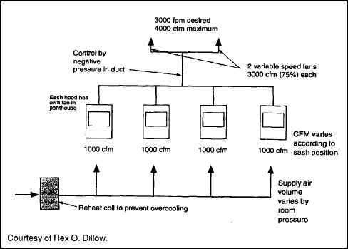 Sample Multiple Fume Hood