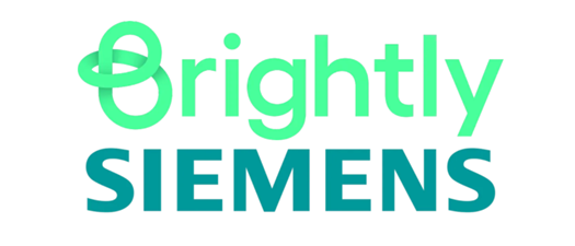 From Raw Data to Smart Capital Planning: Optimizing Facility Asset Investments